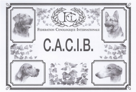Imagen de calificación de la federation Cynologique Internacionales cara 1